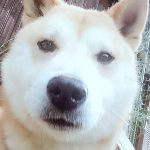 Facebookプロフィール画像