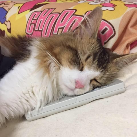 Facebookプロフィール画像