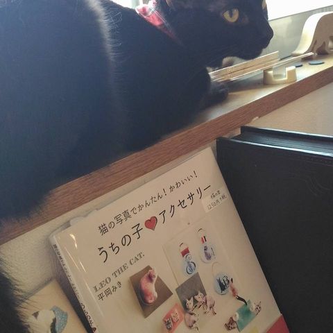 Facebookプロフィール画像