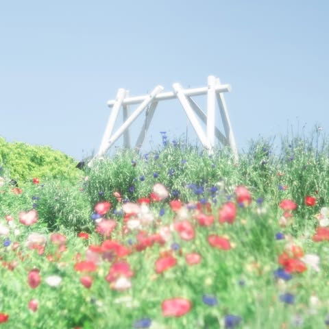 Facebookプロフィール画像